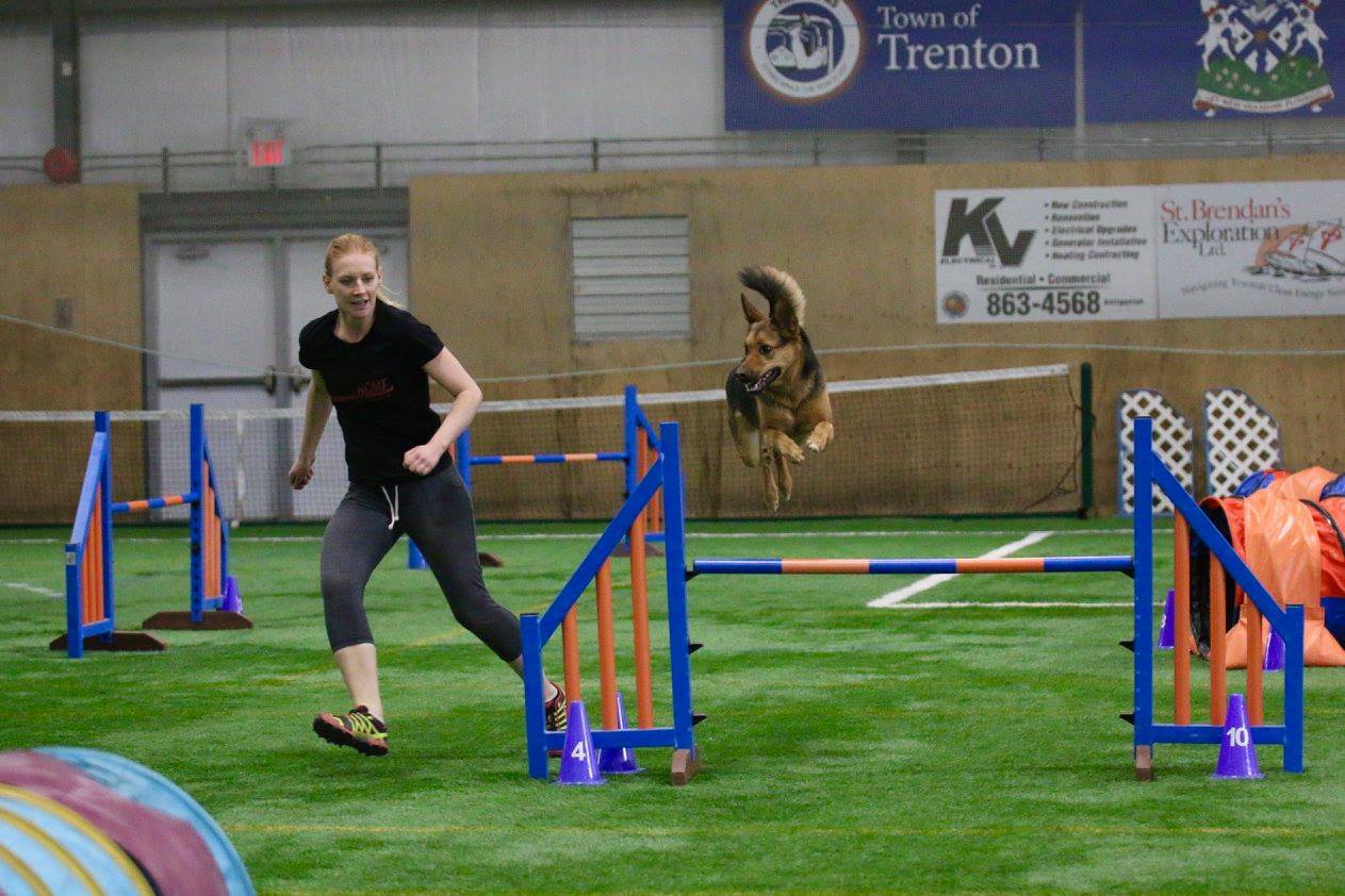 Agility competition