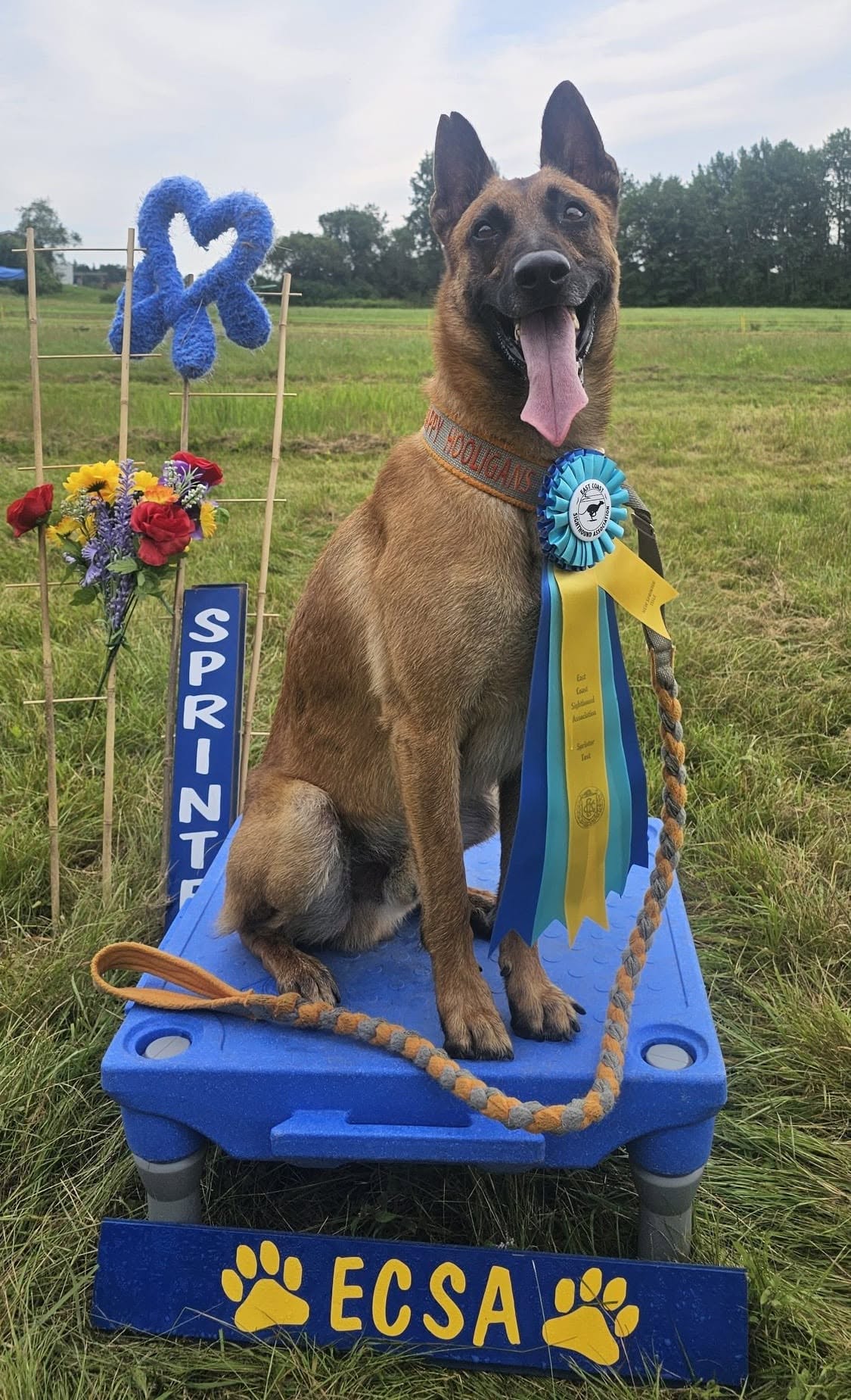 Naruto with sprinter ribbon win at ECSA